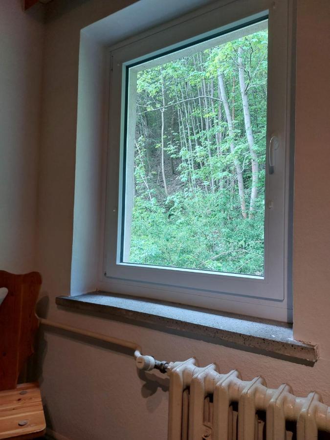 Pension Sternschnuppe, Treseburg Harz, Unmittelbar Am Wasser Тале Экстерьер фото