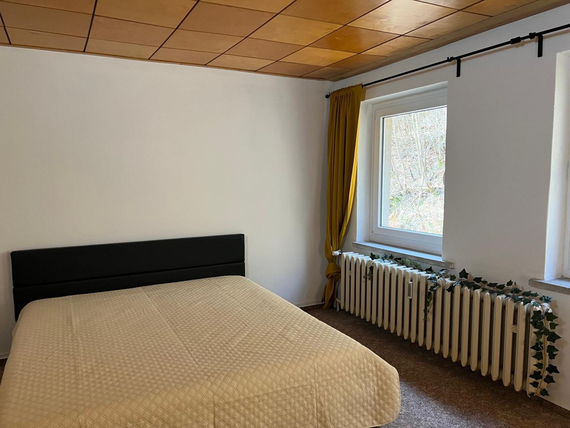 Pension Sternschnuppe, Treseburg Harz, Unmittelbar Am Wasser Тале Экстерьер фото